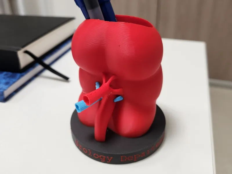 Porta-Canetas Rim Anatômico (Urologia)