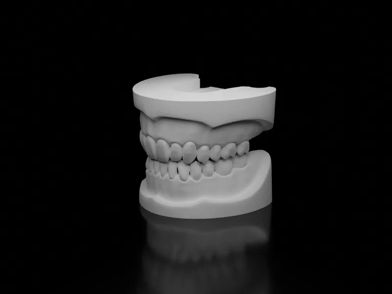 Modelo Didático de Dentes Humanos